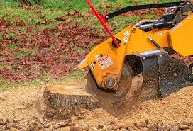 Best Lawn Maintenance Plans  in Douglas, AL
